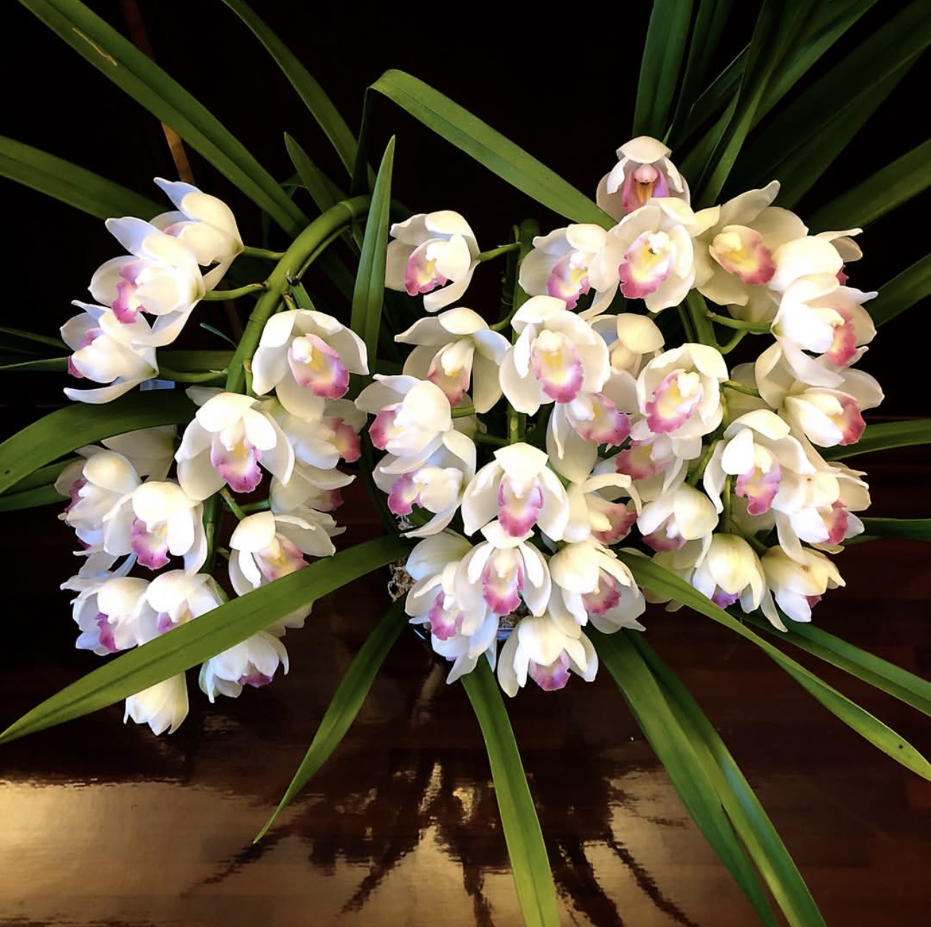 占い師牡丹のお気に入り写真1